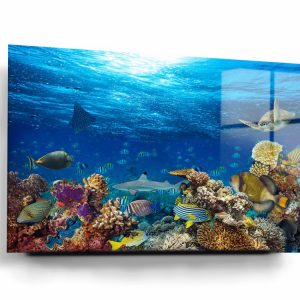 Coral Reef Glass Wall Art