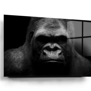 Gorilla Glass Wall Art