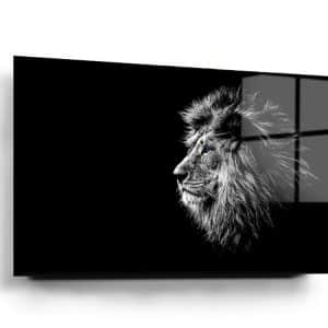 Black And White Lion Glass Wall Art