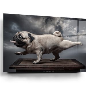 Pug Doing Yoga Glass Wall Art