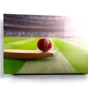Cricket Bat And Ball Glass Wall Art