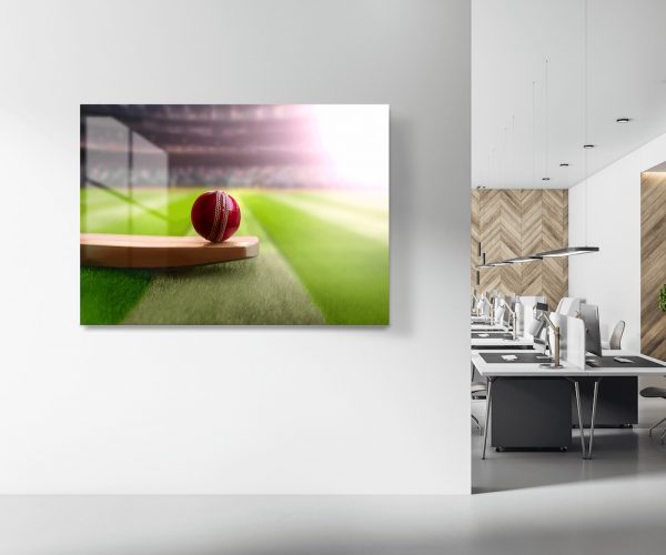 Cricket Bat And Ball Glass Wall Art