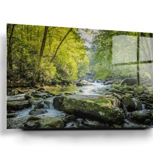 River Through The Forest Glass Wall Art